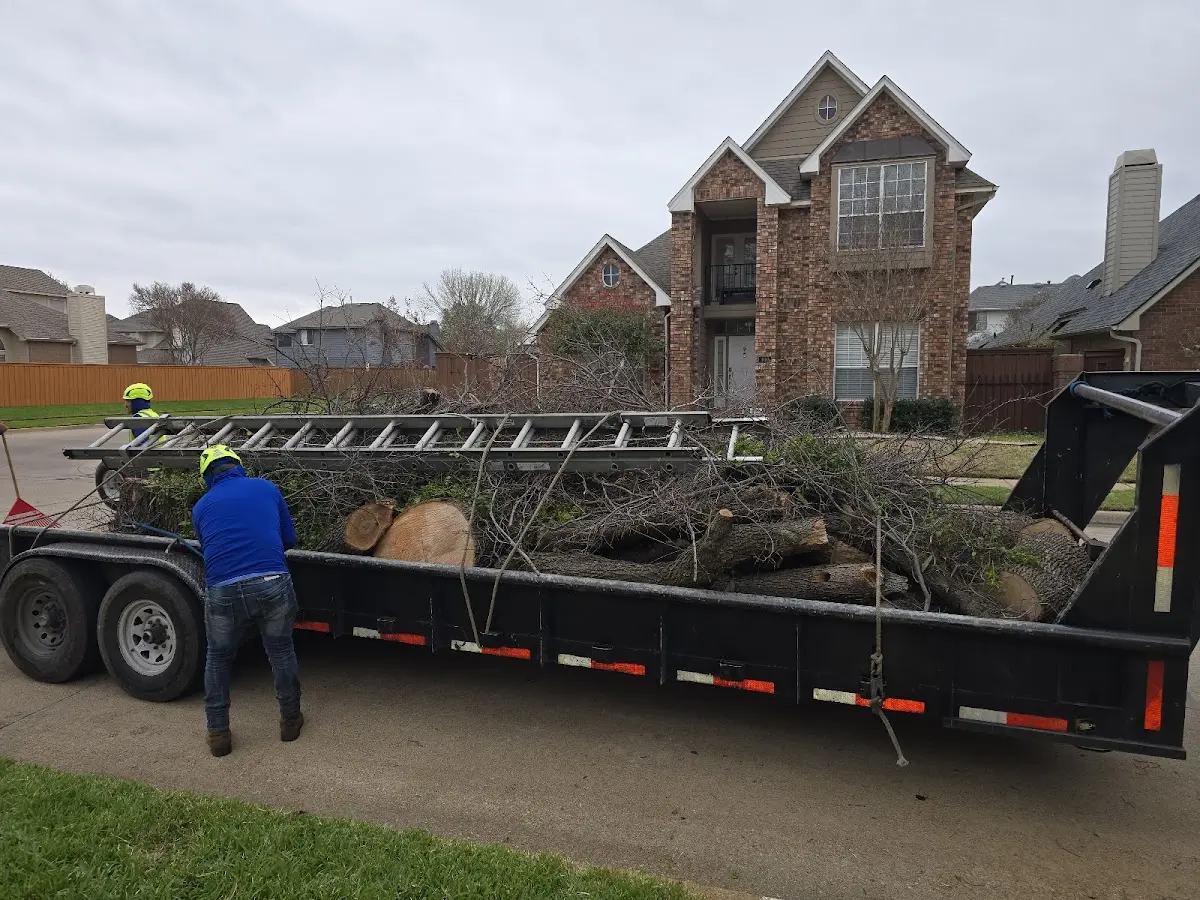 Expert Tree Pest Control with proper safety equipment in Lignum